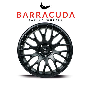 Barracuda